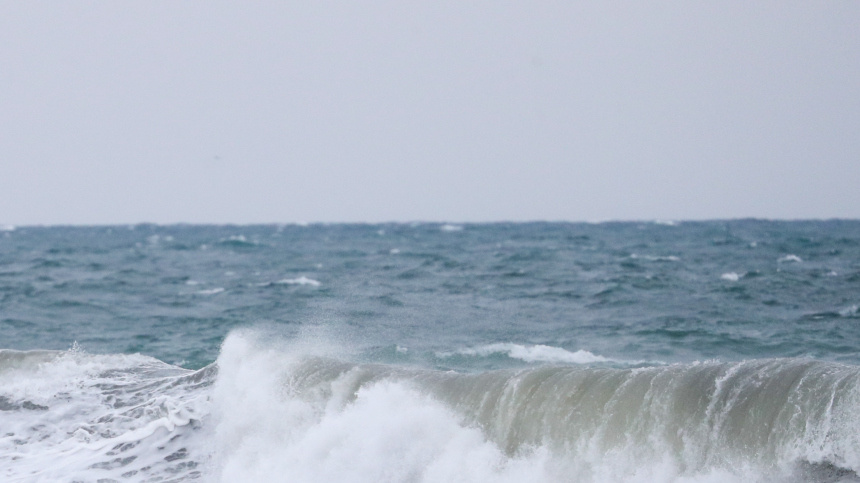    Фото: www.globallookpress.com/Petrov Sergey