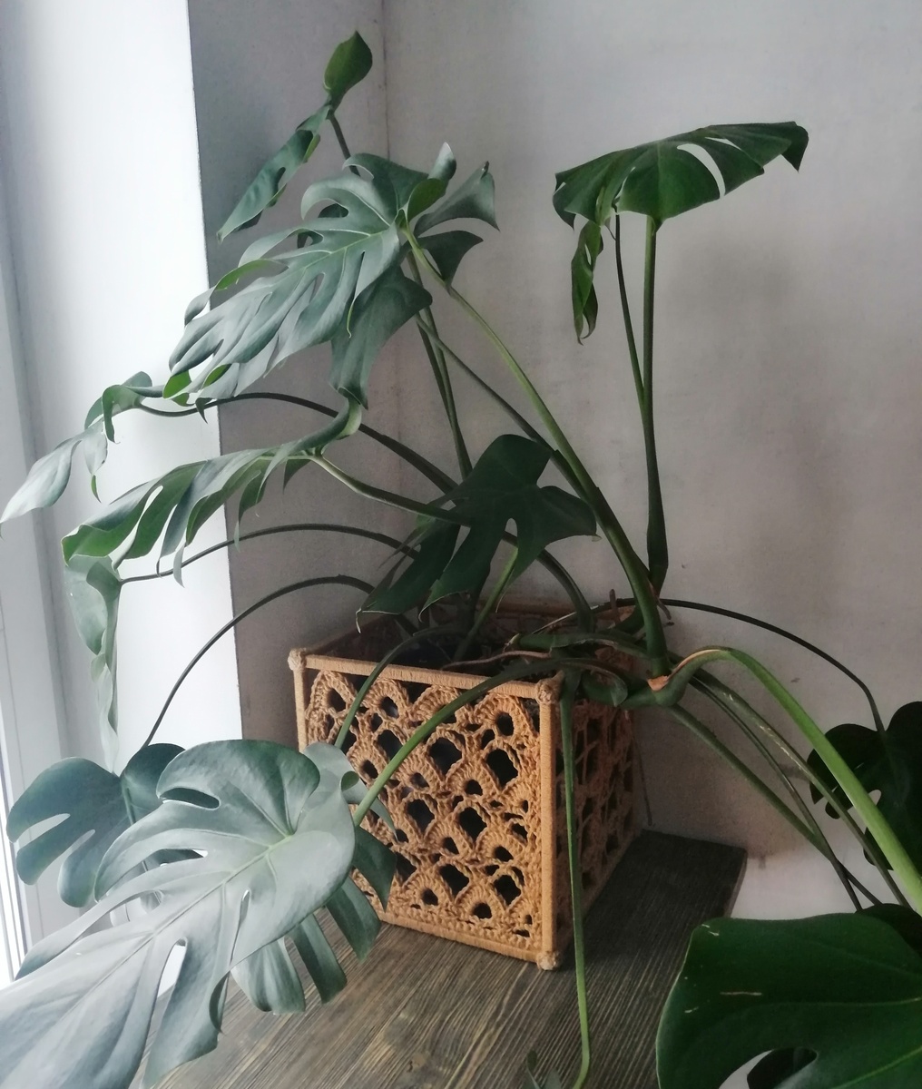 Кашпо из джута