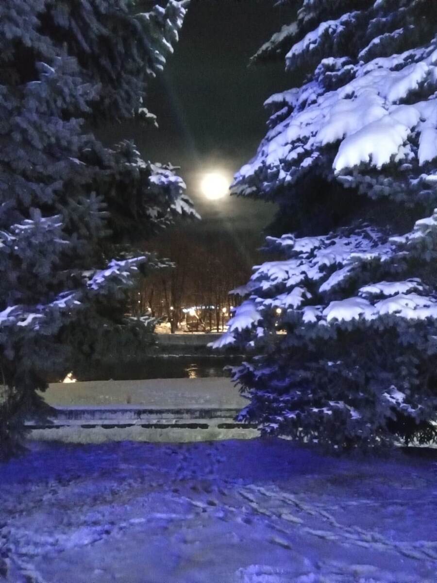 Терек не замерзает даже в сильный мороз: у реки очень быстрое течение