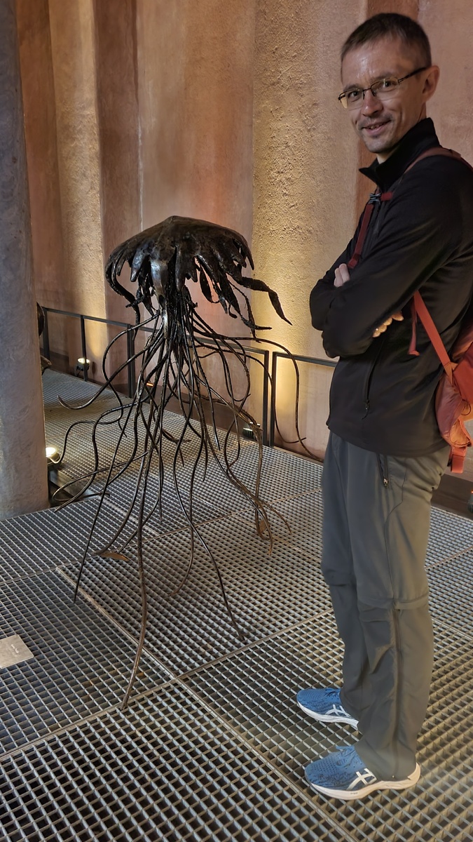 Наверное, медуза. Смотрится очень круто!