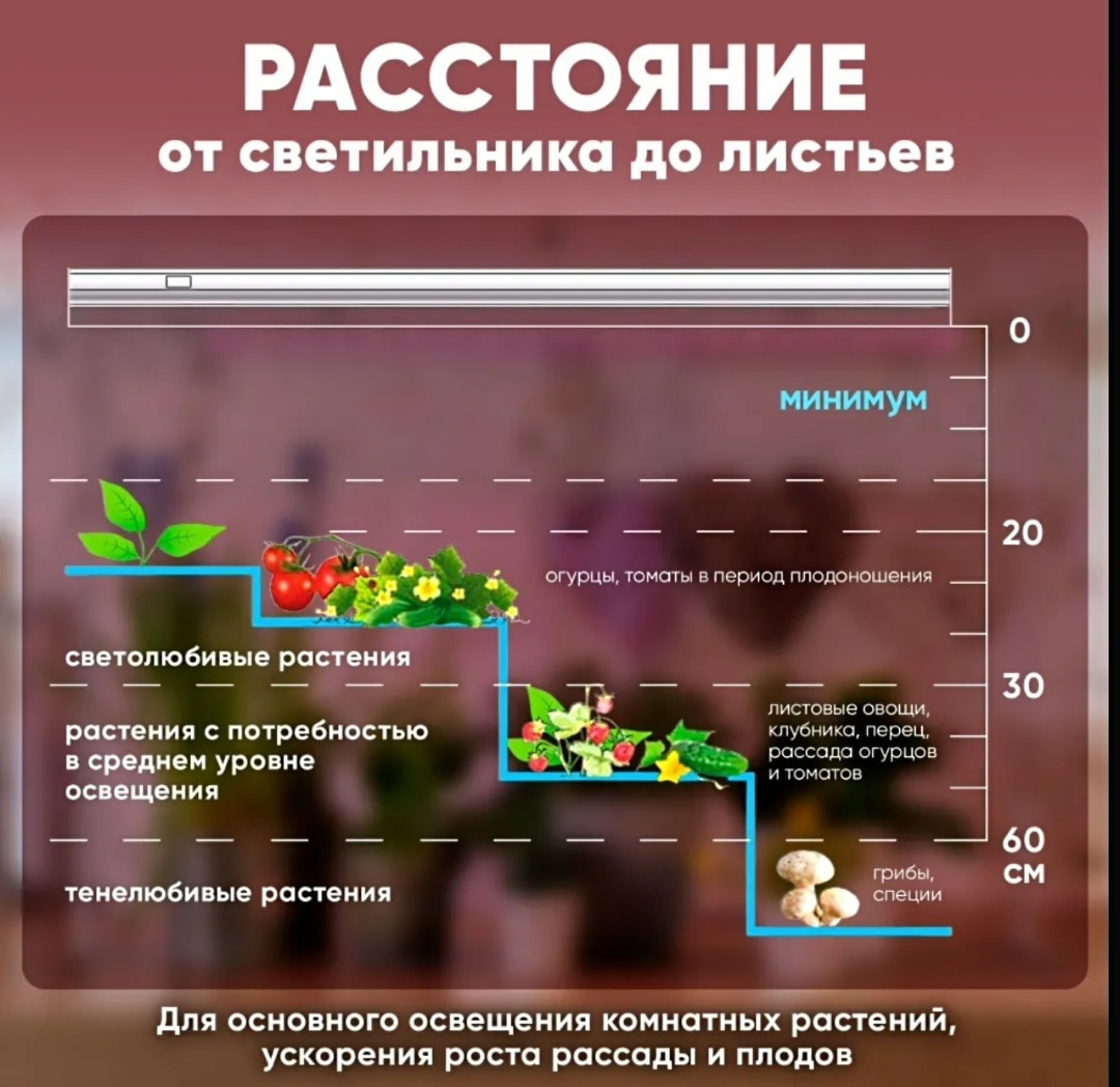 Рекомендации производителя по расстоянию от лампы до макушек растений