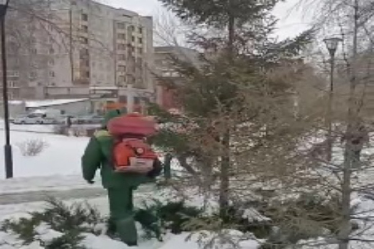    скриншот из видео мэрии Новосибирска