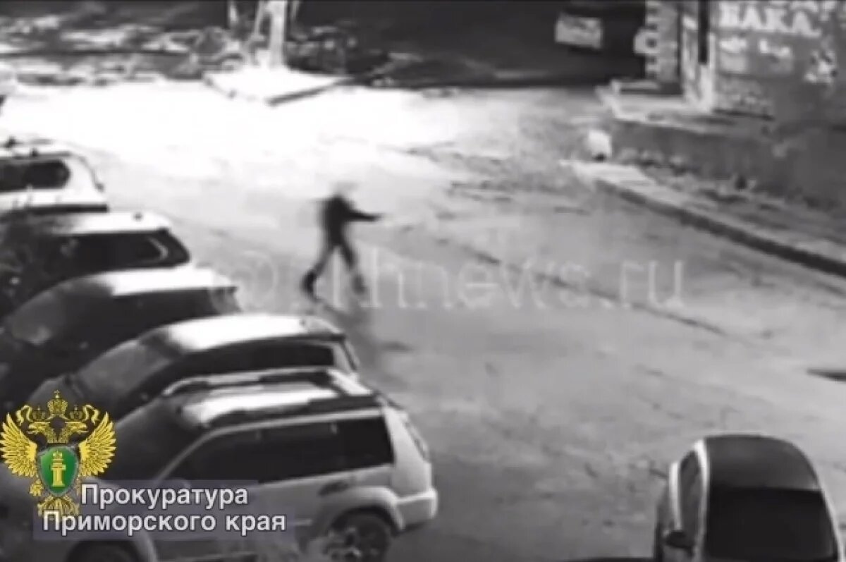    Присяжные вынесли обвинительный вердикт по «стрелку» из Находки