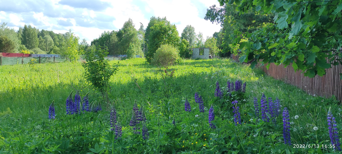 Из личного архива i@ayarkov.ru