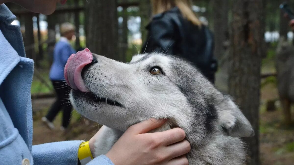     Источник: 1MI