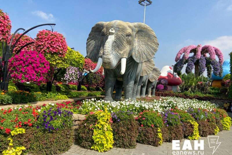    Фото: ЕАН. В среднем туристы готовы потратить от 100 тыс. до 300 тыс. на двоих