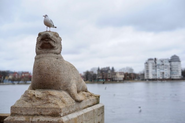   Фото из архива Калининград.Ru