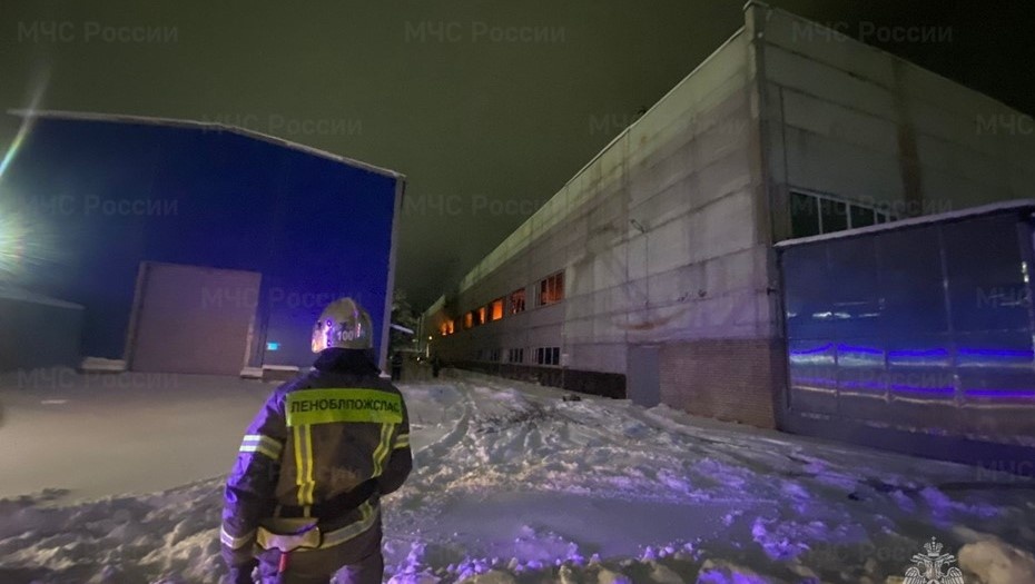    Автор фото: ГУ МЧС по Ленинградской области