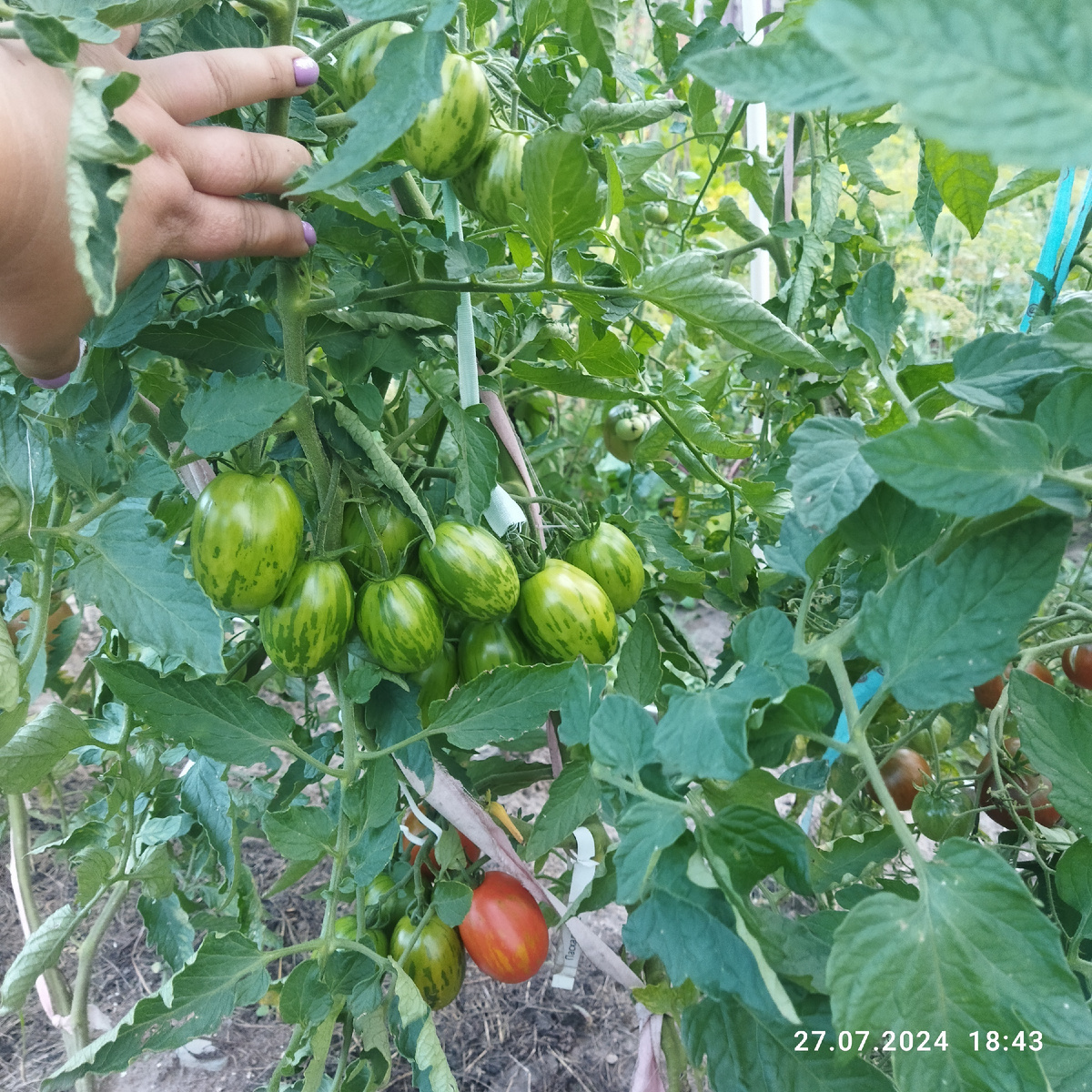 2024 год. Дожди лили уже неделю