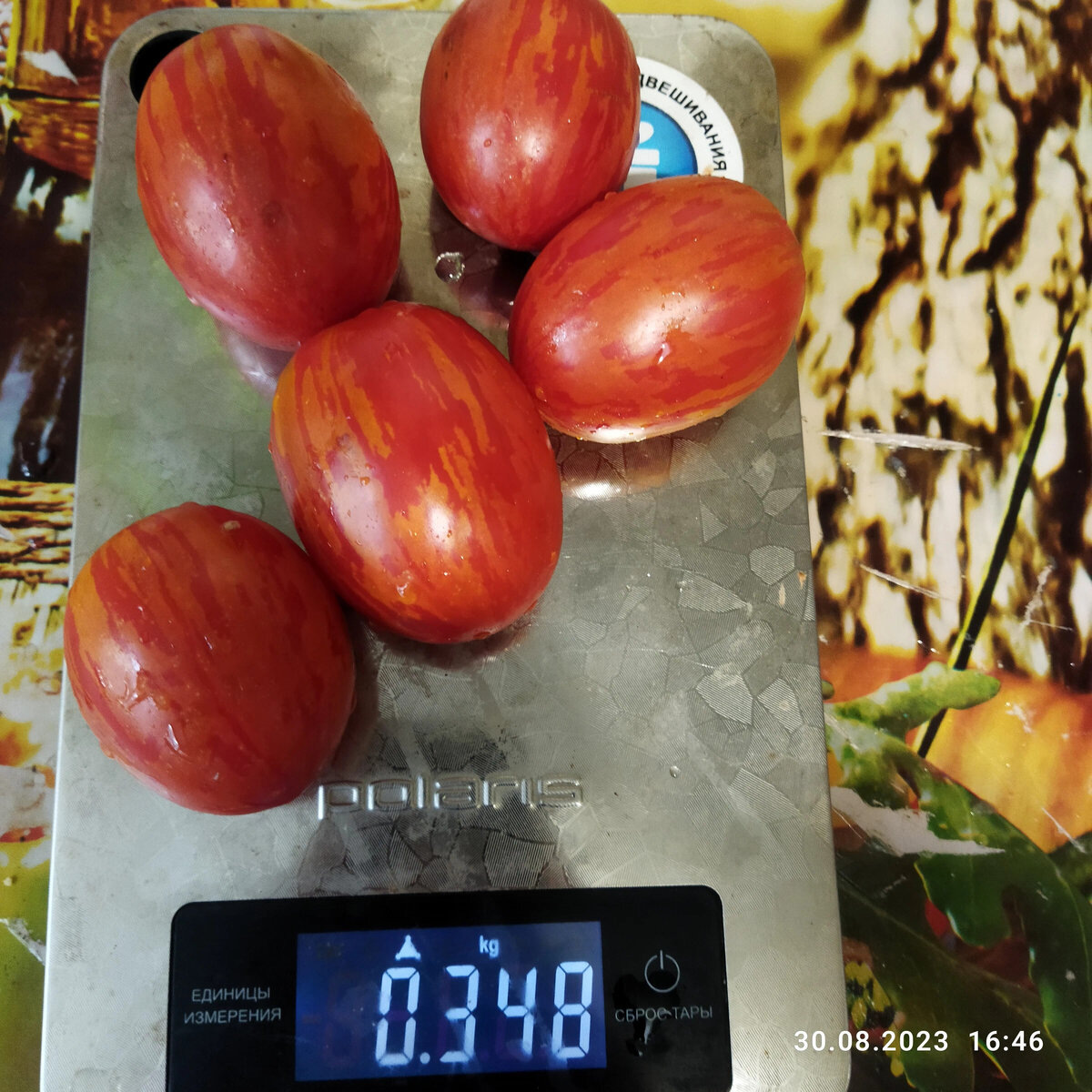 2023 год, урожай с улицы