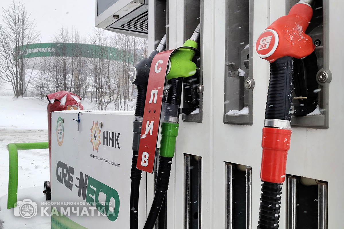 Фото: ИА «Камчатка»