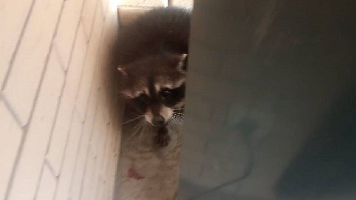    Фото: ЕДДС Краснодара / t.me/eddskrd23