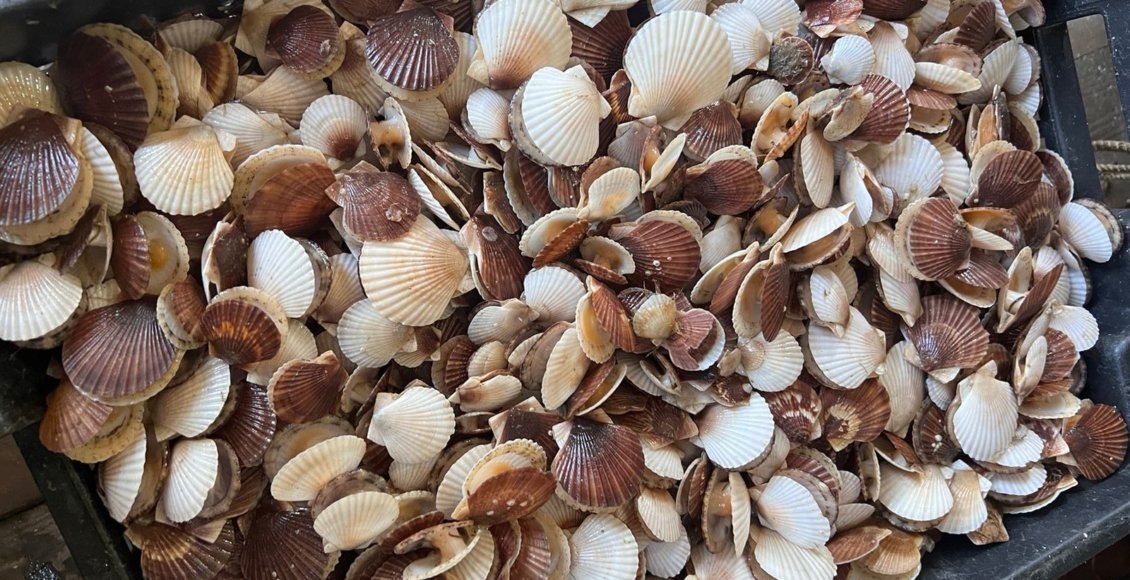    Фото: Приморское территориальное управление Росрыболовства