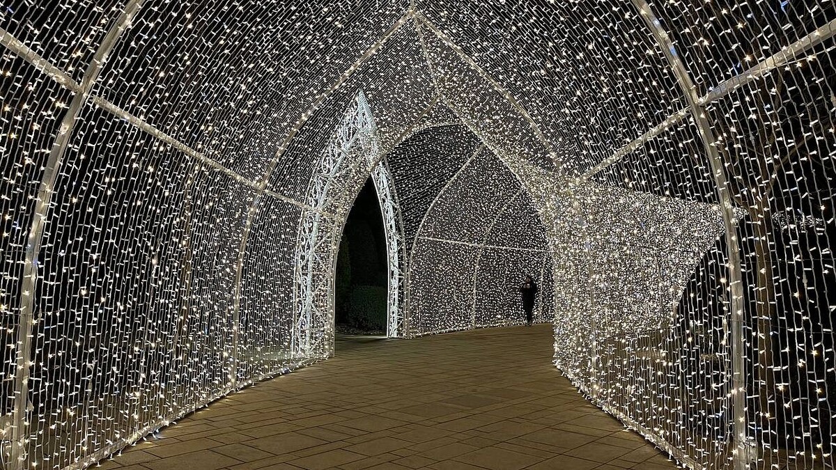    Фото: телеканал «Краснодар»