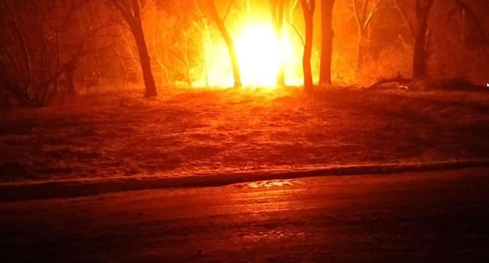    Официальный представитель УФСБ России по ДНР Оксана Семесенко