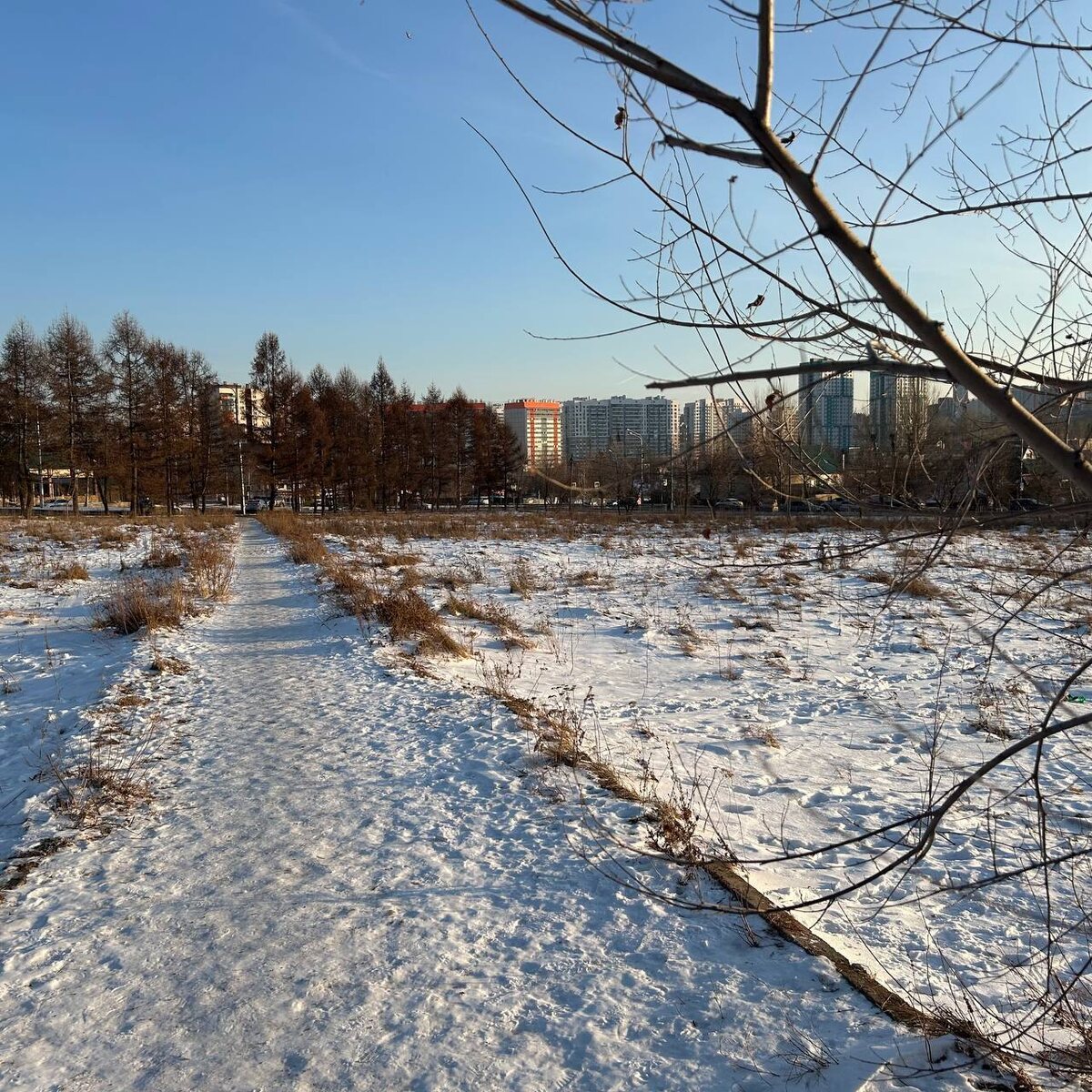     Проект новой школы в Красноярске на улице Елены Стасовой отправили на госэкспертизу