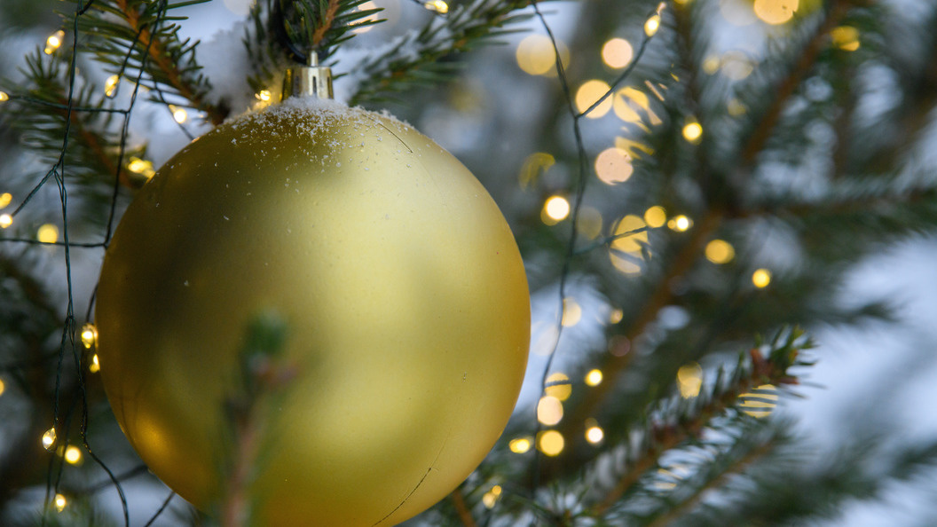    Фото: Ilya Moskovets/Globallookpress