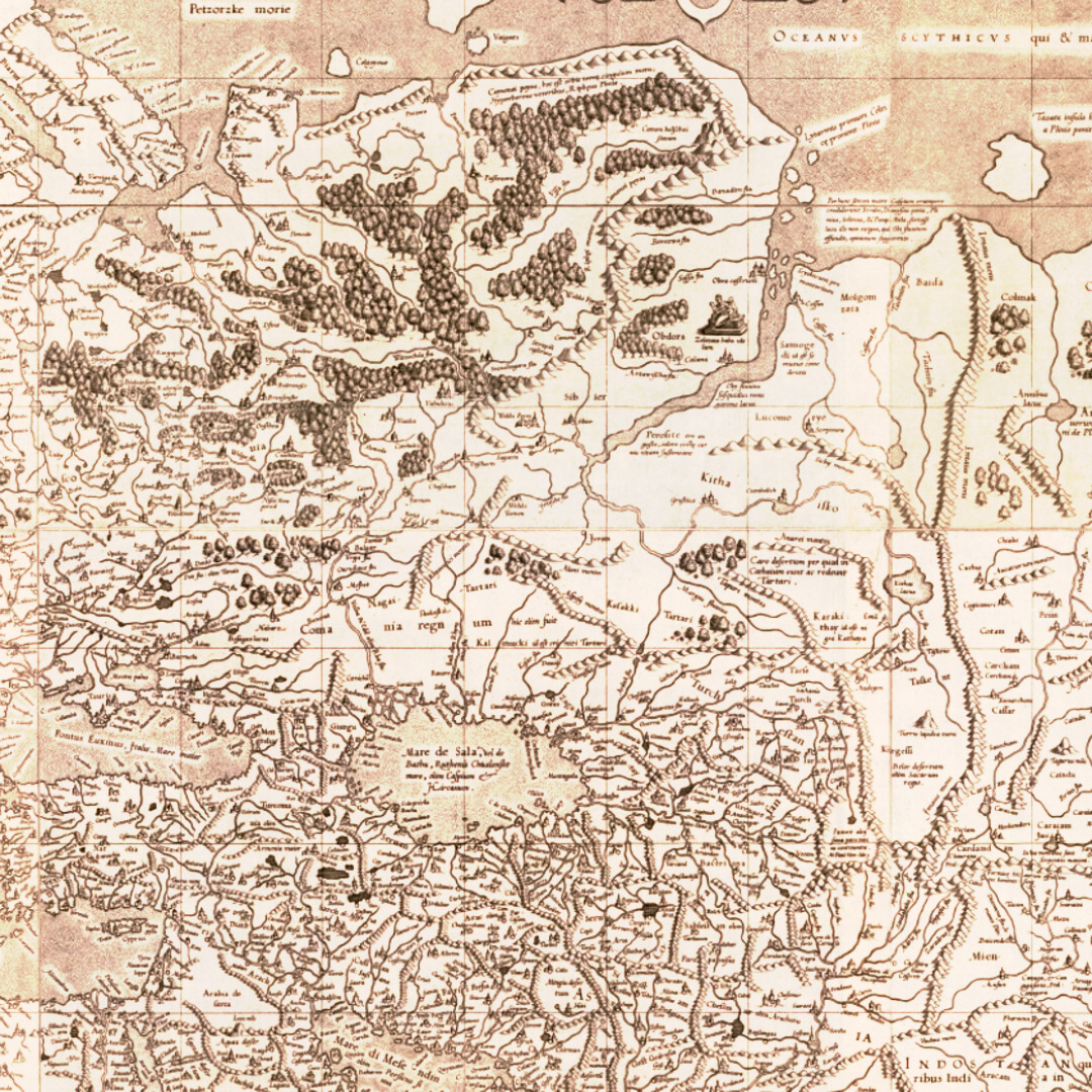 Карта Меркатора, общий вид. Источник: Яндекс картинки.
