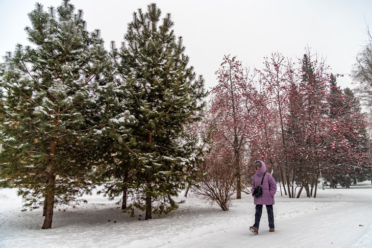    Фото Андрея Заржецкого