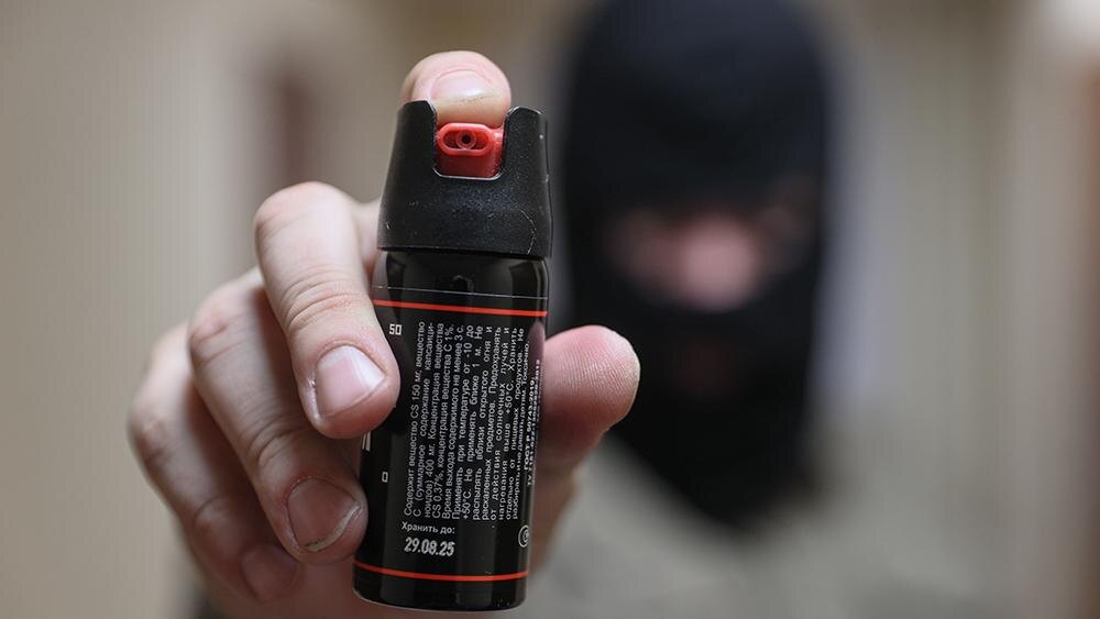    Фото: Bulkin Sergey/globallookpress.com