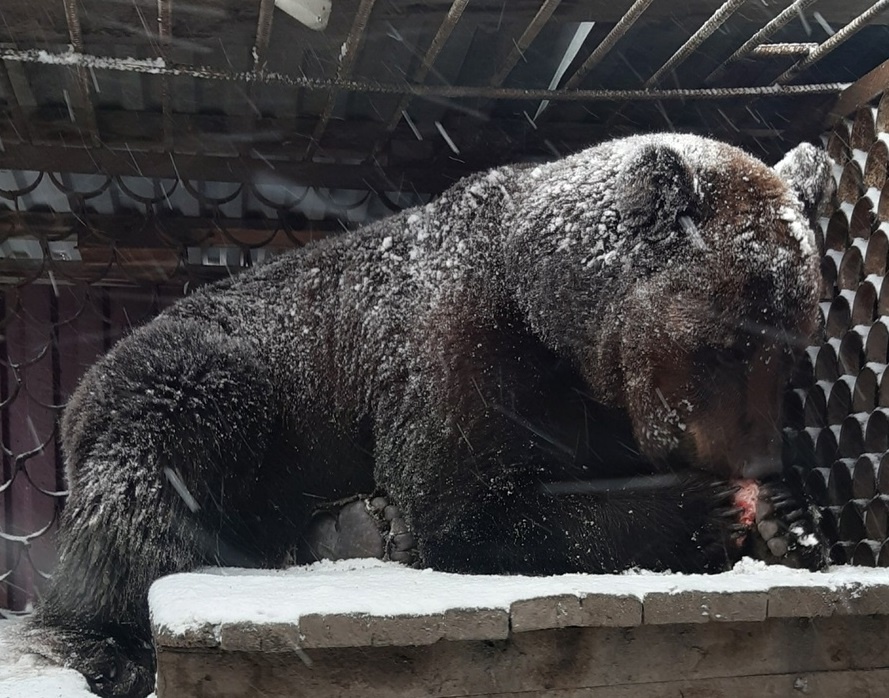 Фото, видео: страница Валерия Кульбиды в социальной сети «ВКонтакте»