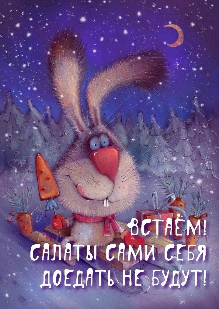 Фото из сети Интернет