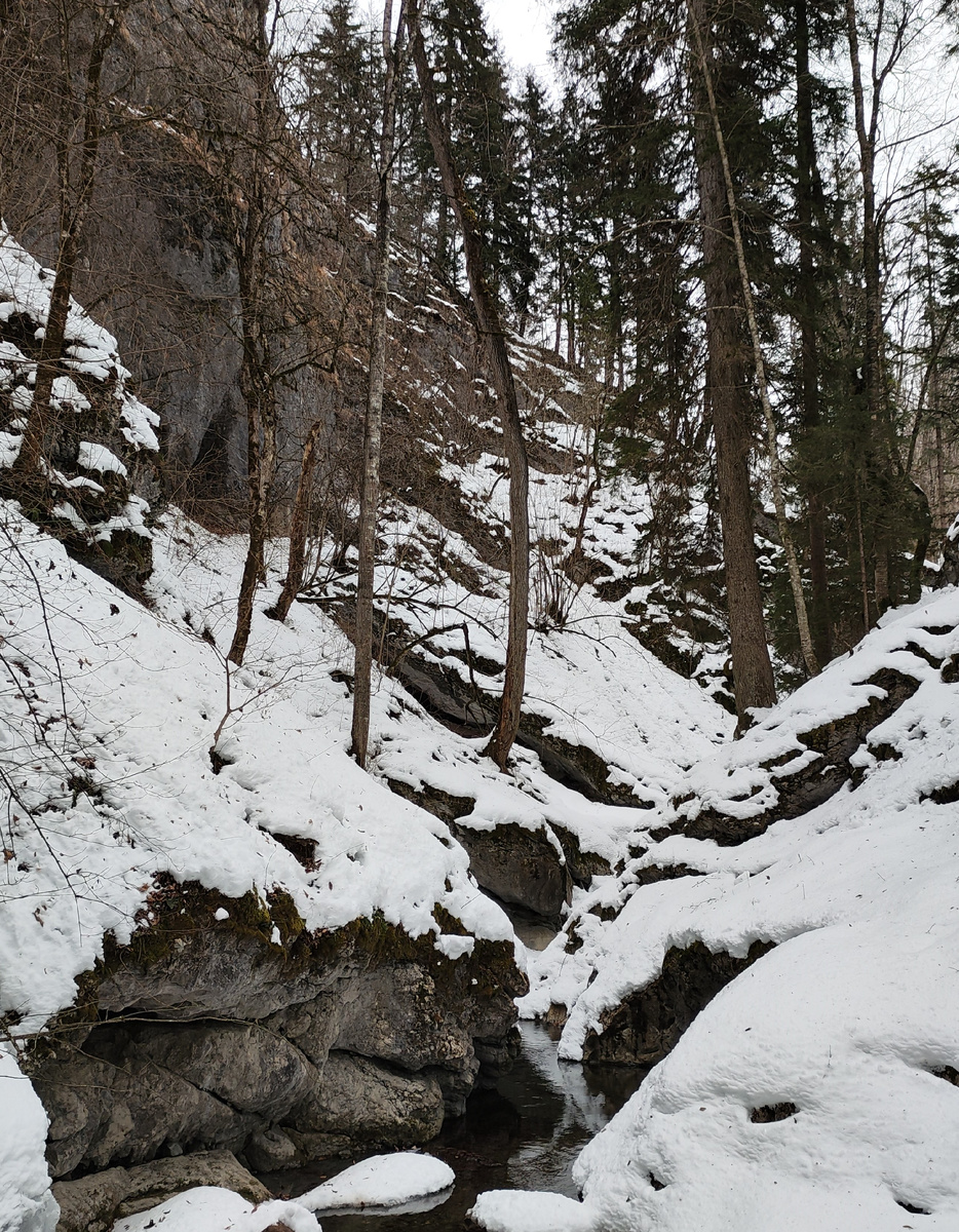 ущелье ручья