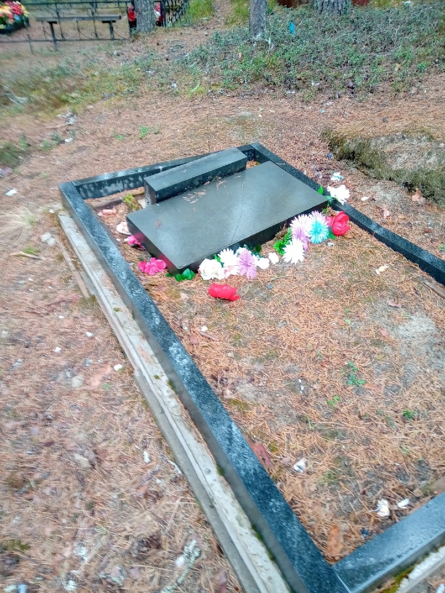    Фото:vk.com/segezha_online