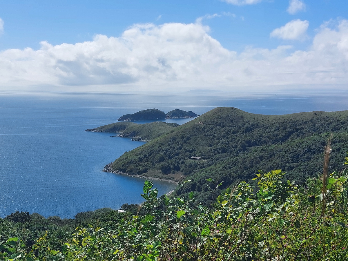 Соблазнительно, не правда ли?