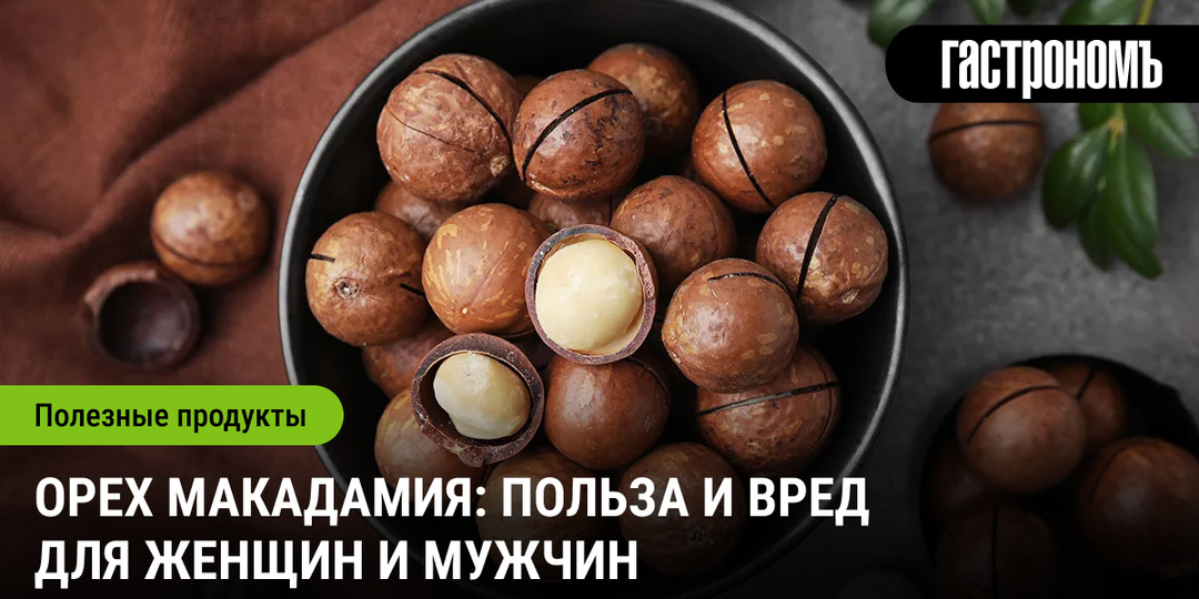 Орех макадамия: польза и вред для женщин и мужчин