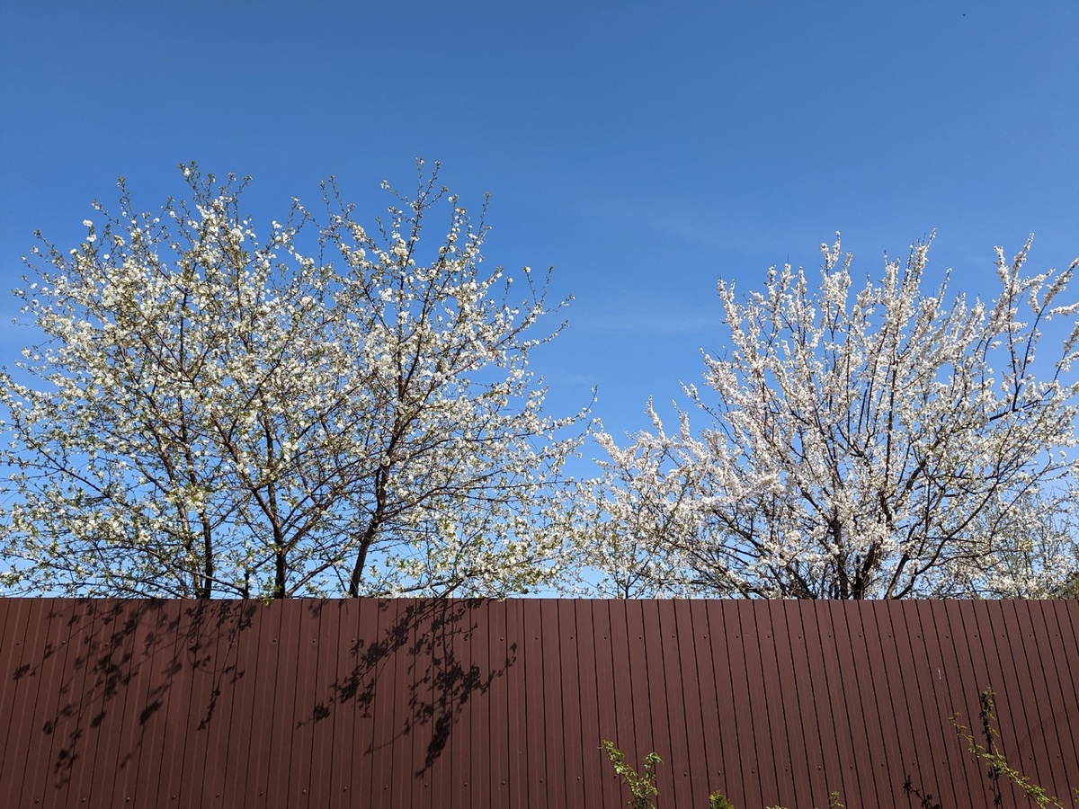 Боль моя, ты покинь меня!