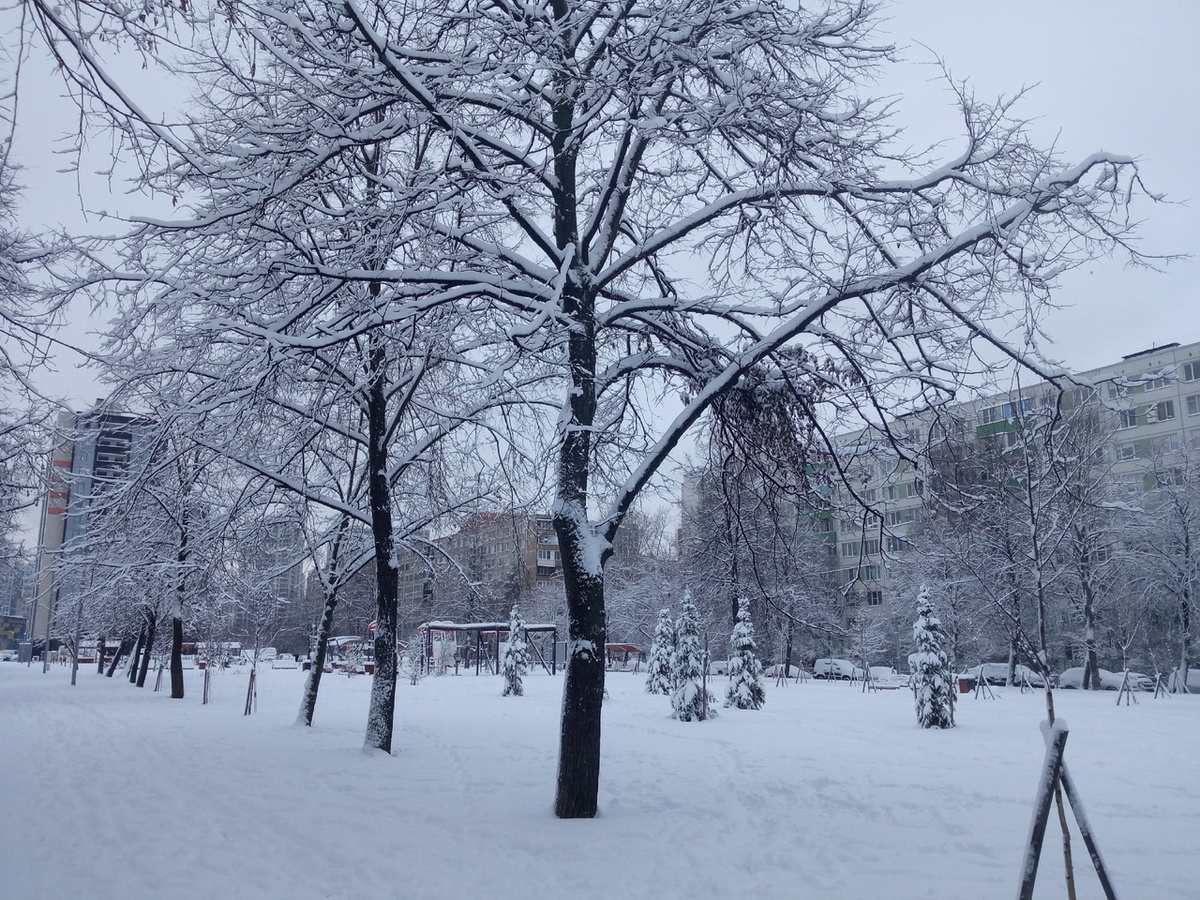 Вчера гуляла в парке у дома.