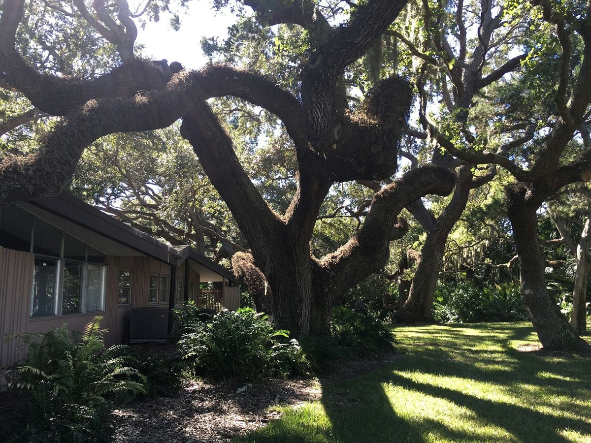 Дом семьи Бесс в в Сиеста-Ки, Сарасота. фото https://www.dwell.com