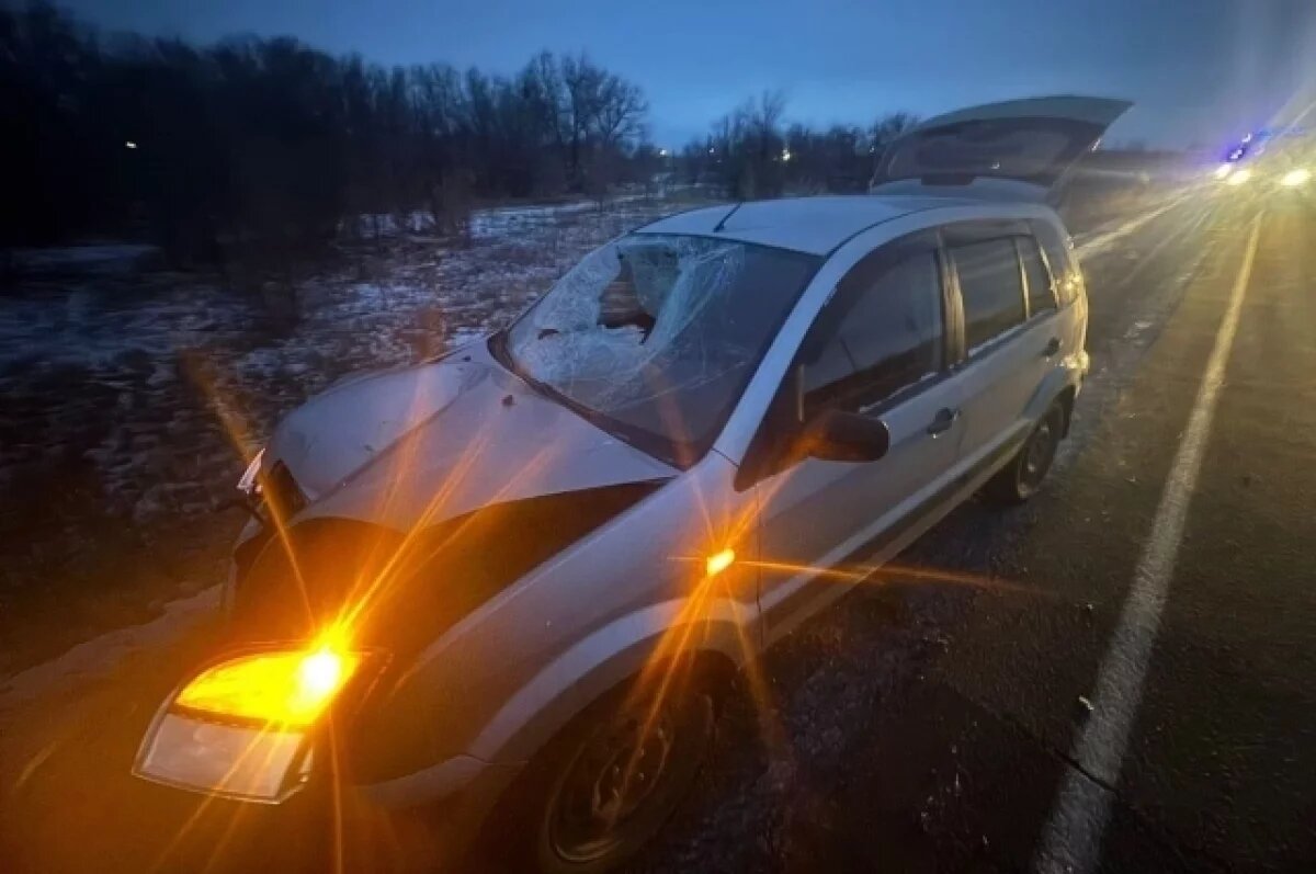    19-летний пешеход погиб под колесами Ford на трассе Орск — Новоорск