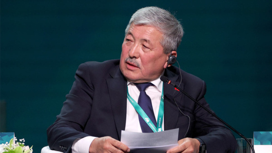    Президент Киргизии назначил исполняющим обязанности премьера Касымалиева Татьяна Сидорова