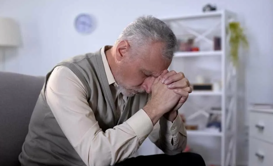 Яндекс картинки