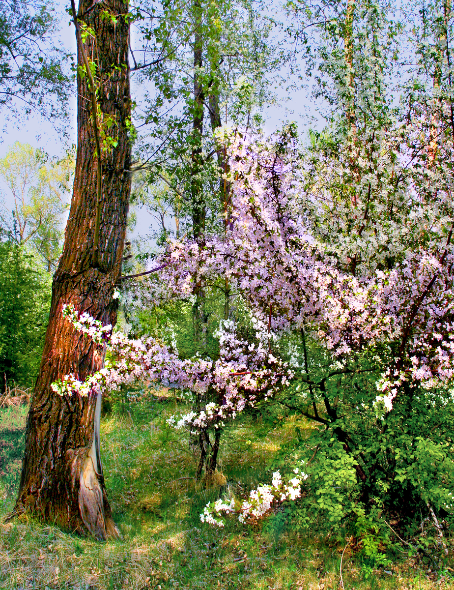 Фотография, стихотворение Василия Глуцкого