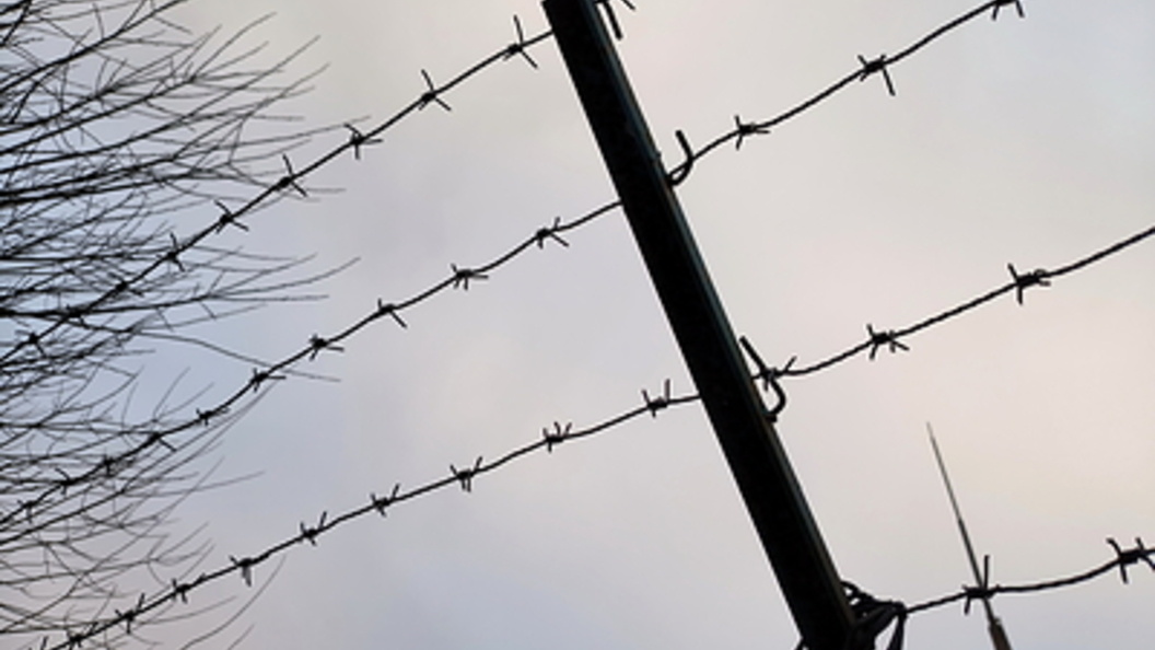    Фото: Maksim Konstantinov/Globallookpress