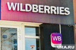    Про историю Wildberries хотят снять кино с бюджетом в 200 миллионов рублей