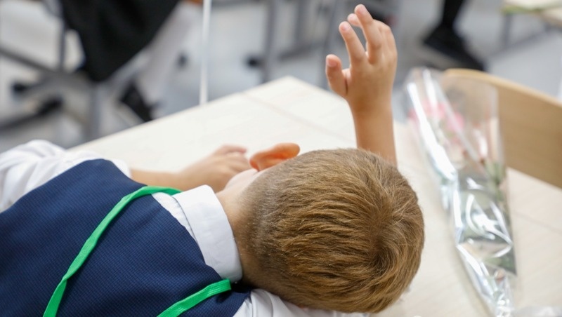    По обоюдному желанию родителей и ребёнка можно получать знания вне школы Фото: Эдуард Корниенко / / ИА «Победа26»