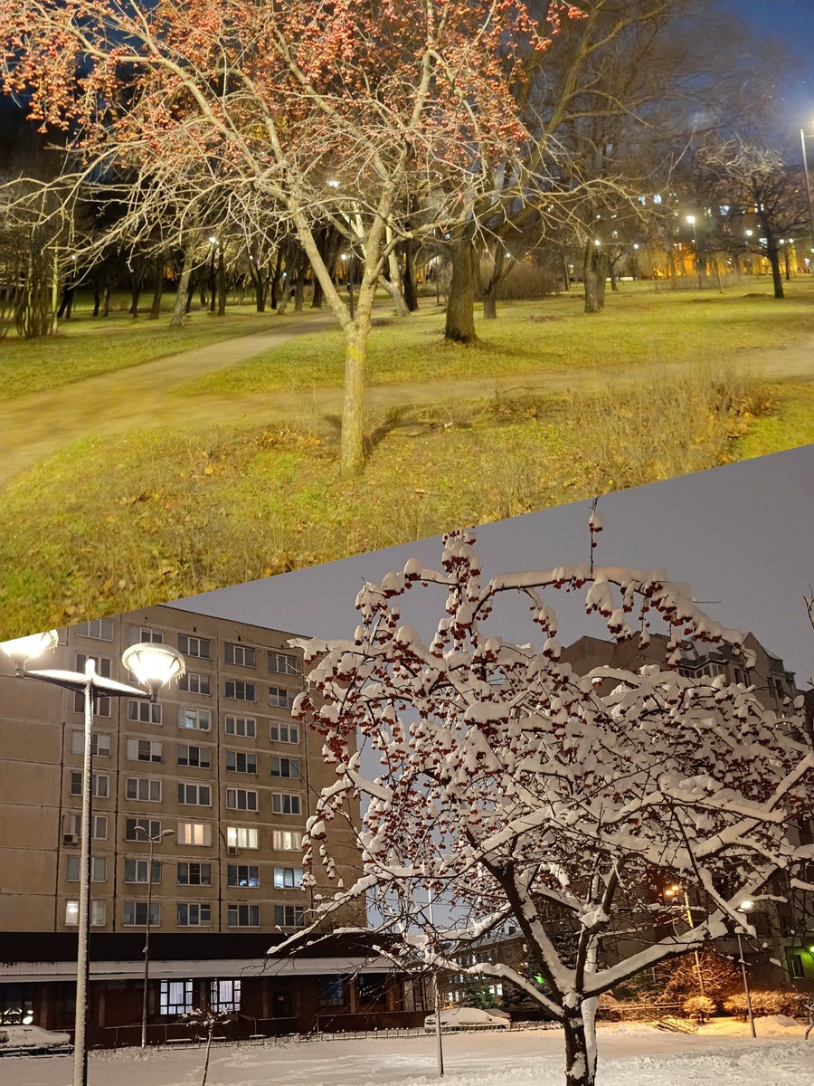 Коллаж автора. И все фото в статье - авторские. 