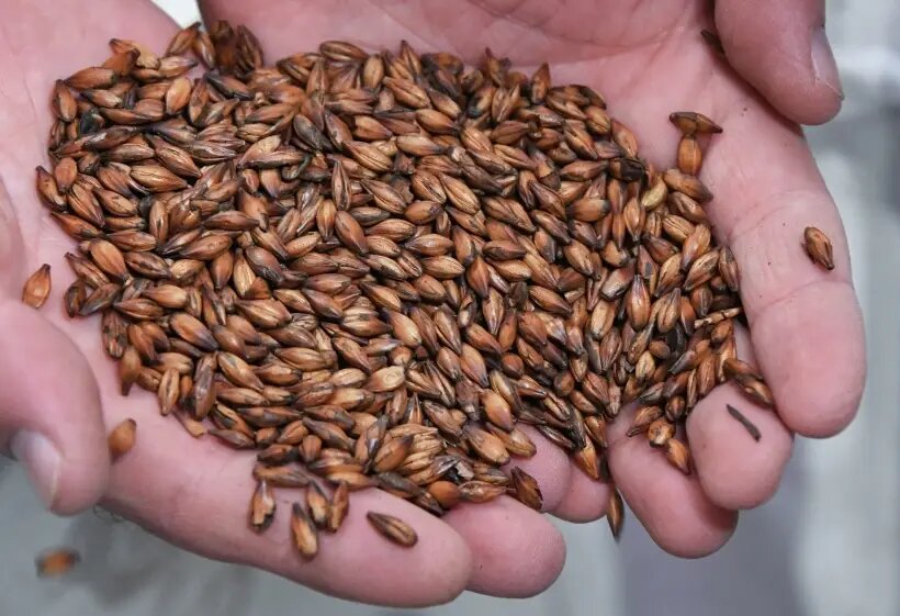     © РИА Новости. Виталий Аньков