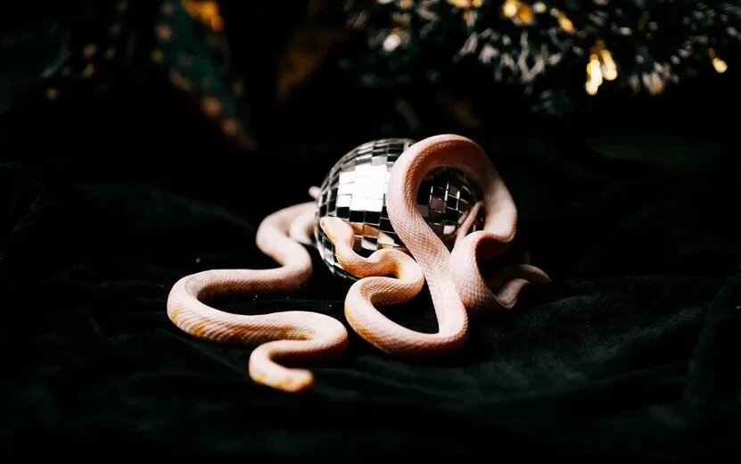    Гороскоп на 17 декабря для всех знаков Зодиака - кому повезет в делах и отношениях