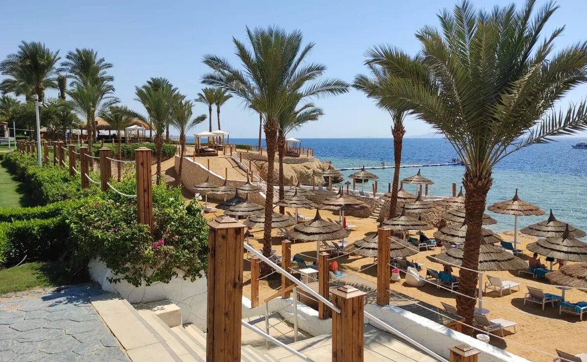    Где отдохнуть 10 дней на море в декабре за 90-100 тысяч рублей на двоих с перелетом