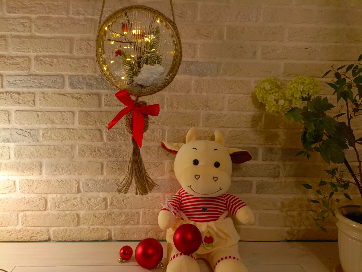 Использовала для  снежного шара стекла для автомобильных фар.