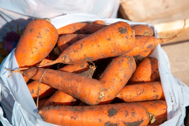 Фото: Оксана Котова