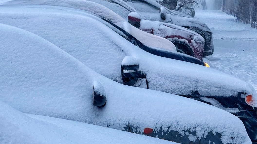    фото: Ekaterina Sychkova/URA.RU/Globallookpress