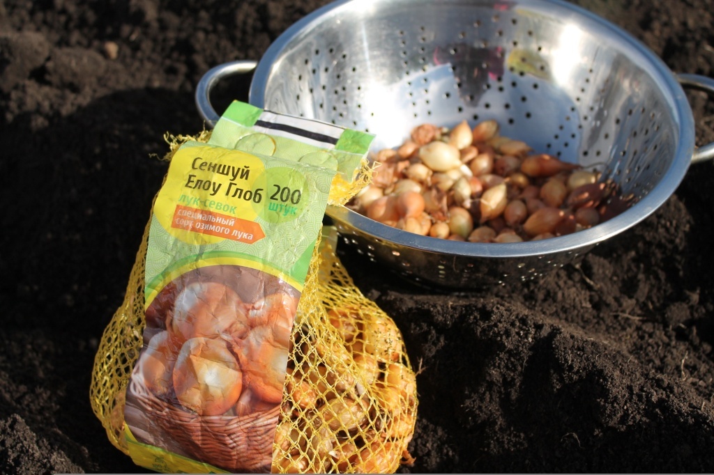  Севок Сеншуй Елоу Глоб