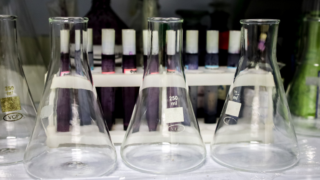    Фото: Elena Mayorova/Global Look Press