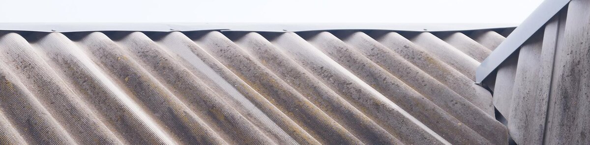    Фото: Сергей Егоров